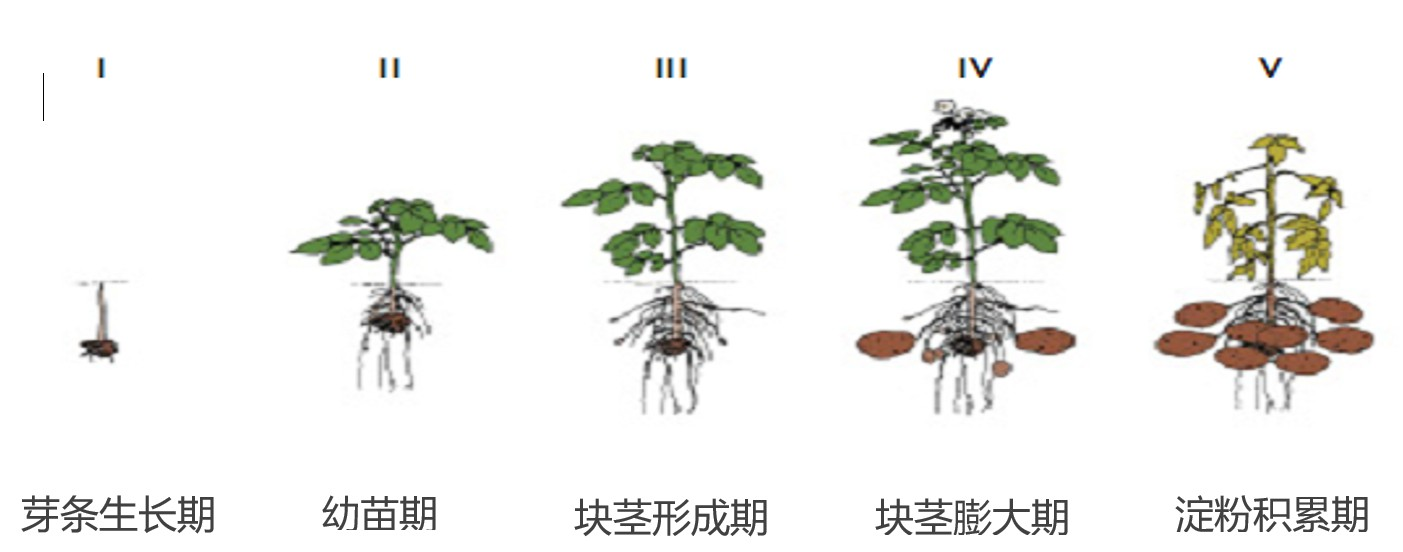 1655969465382583.png